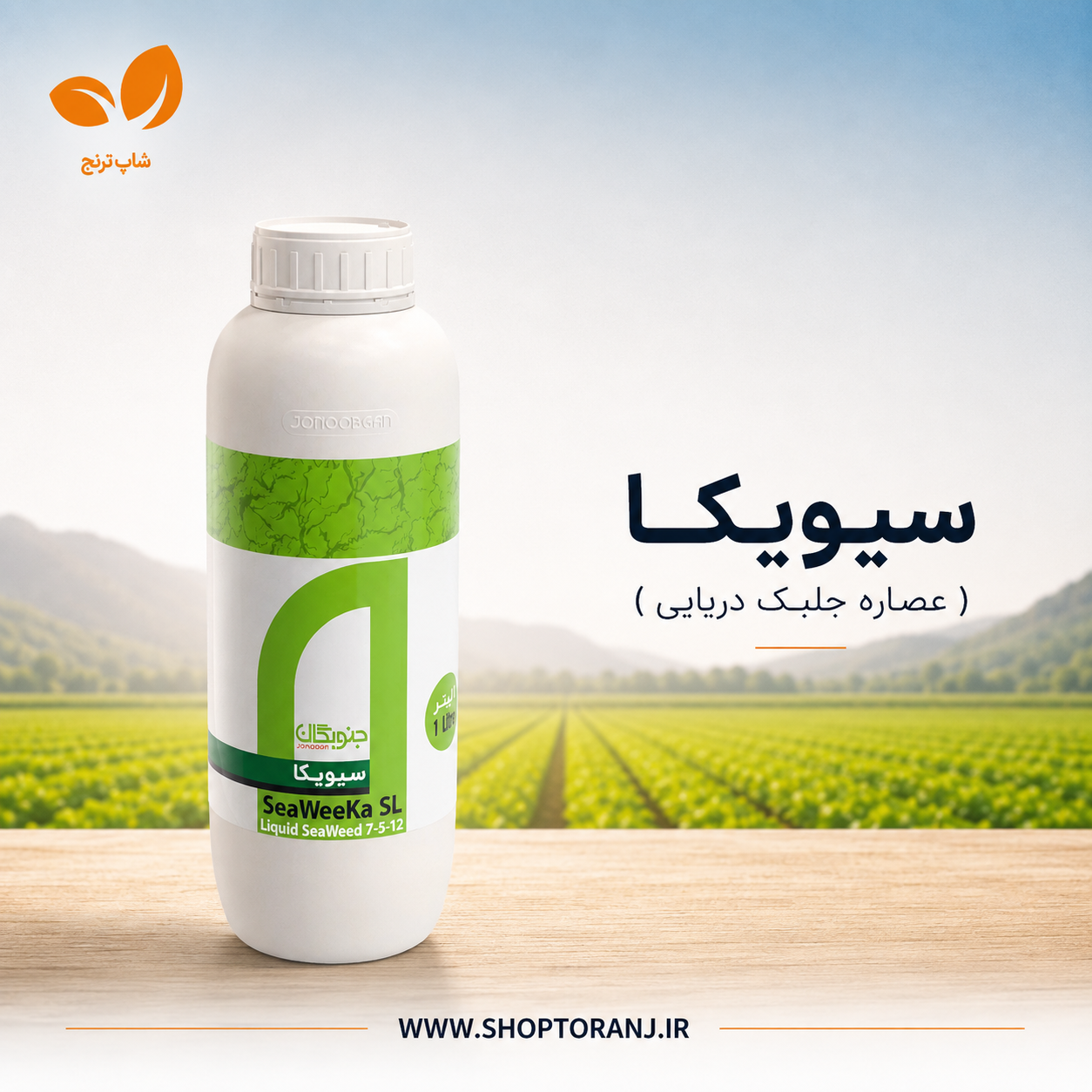جلبک دریایی (سیویکا) جنوبگان