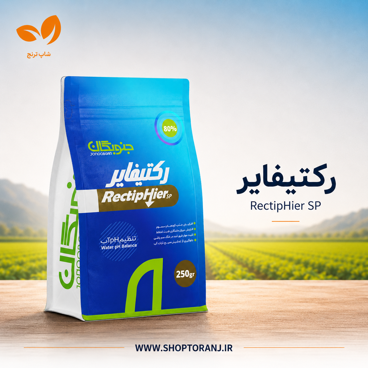 رکتیفایر جنوبگان