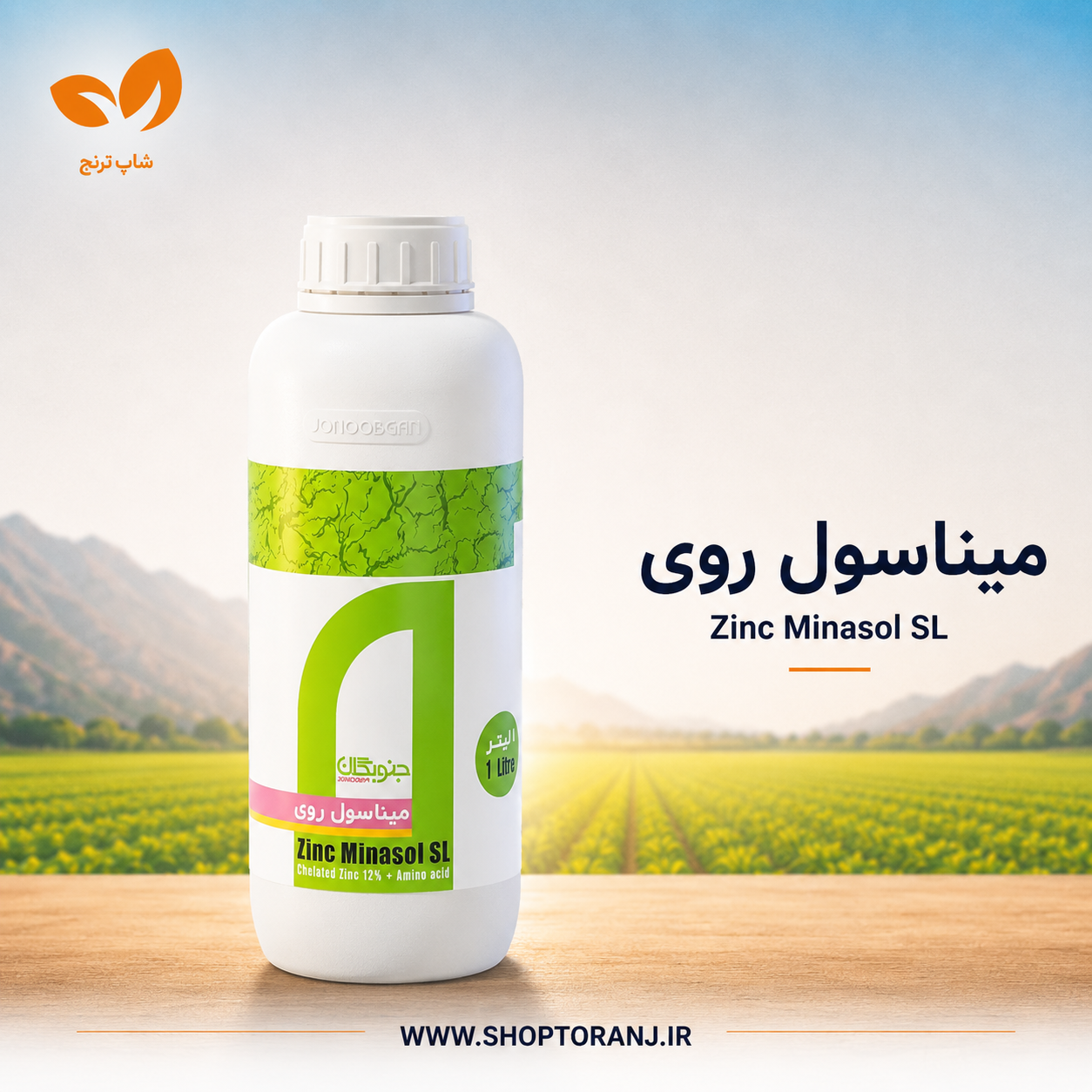 میناسول روی جنوبگان